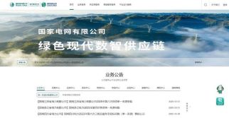 中央企业品牌引领行动优秀成果④国网绿链：服务能源电力产业链供应链高质量发展
